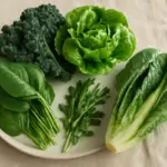 Verdure a foglia verde: quali preferire per pasti leggeri e ricchi di nutrienti?